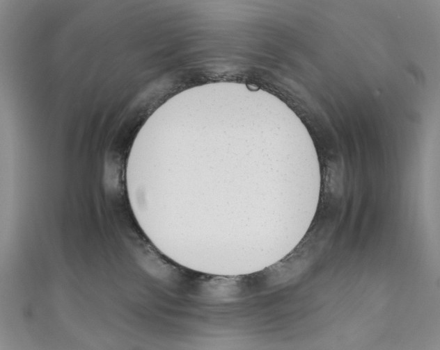 X0000110950138200907171636