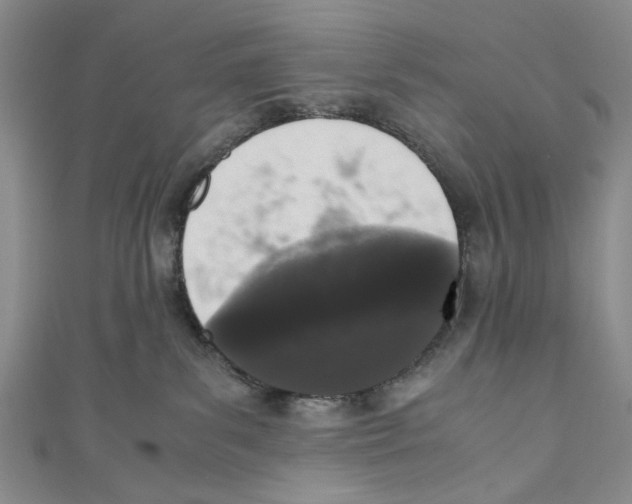 X0000110950139200907171636
