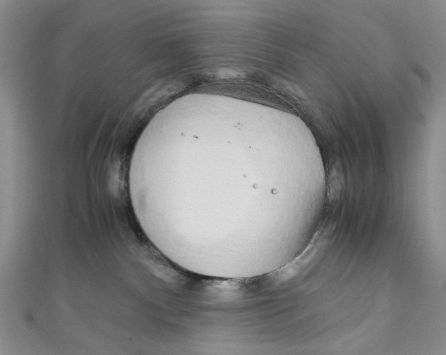 X0000110950140200907171636