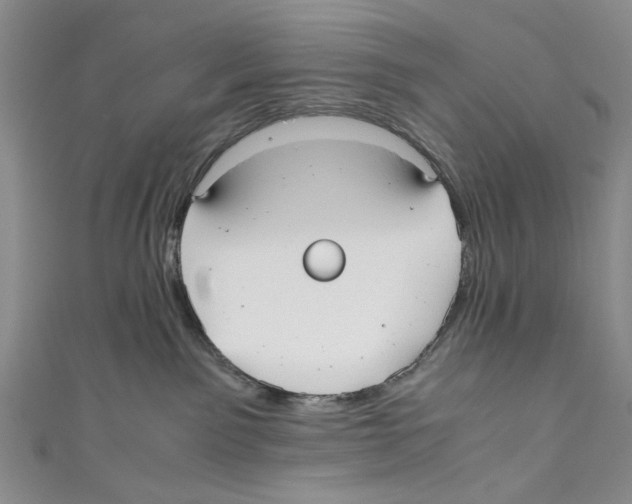 X0000110950141200907171636