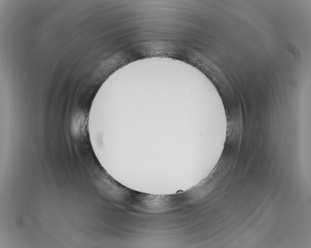 X0000110950142200907171636