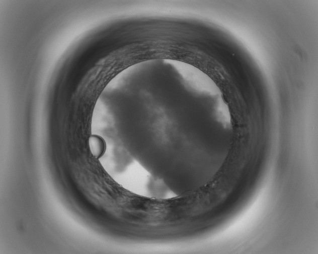 X0000110950143200907171636