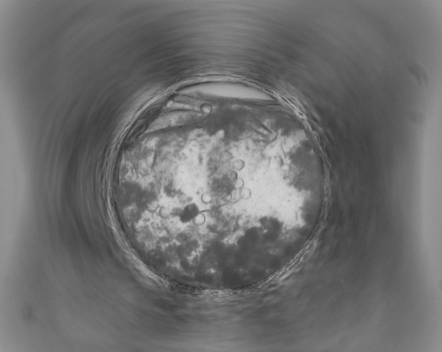 X0000110950145200907171636
