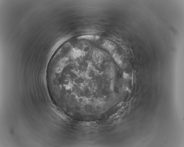 X0000110950147200907171636