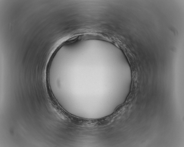 X0000110950148200907171636