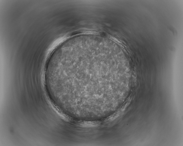 X0000110950149200907171636
