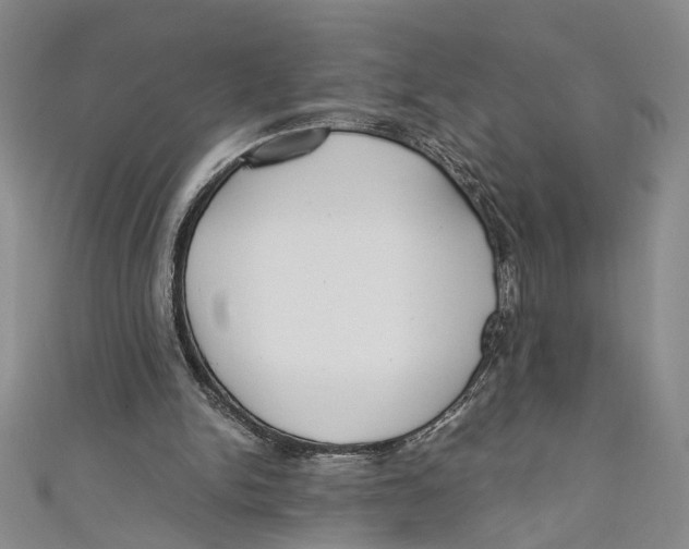 X0000110950150200907171636