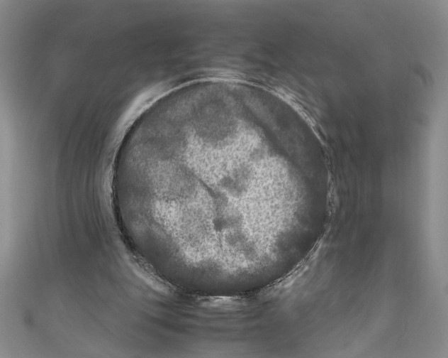 X0000110950151200907171636