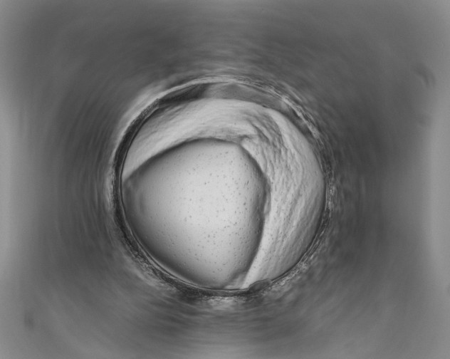 X0000110950152200907171636