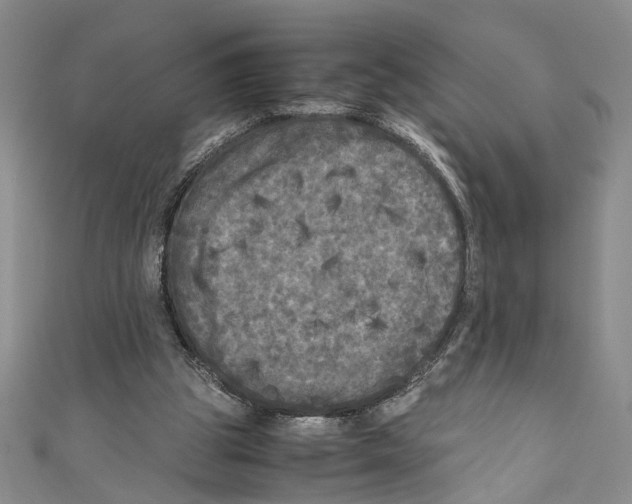 X0000110950153200907171636