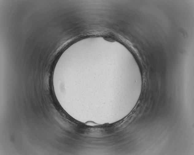 X0000110950154200907171636