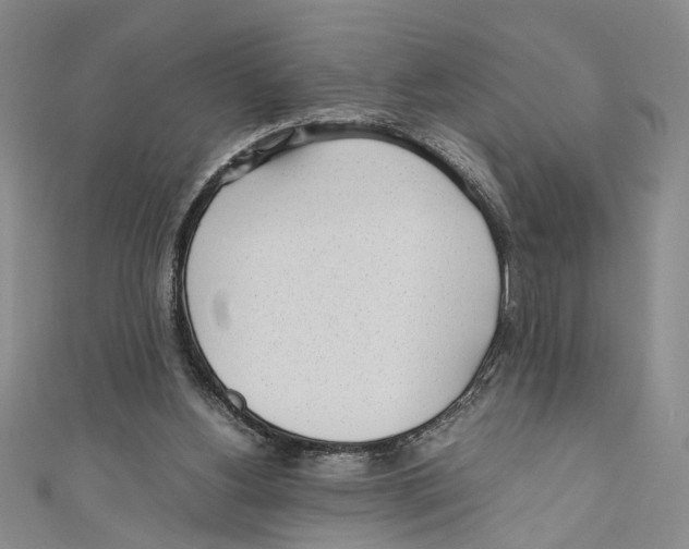 X0000110950156200907171636
