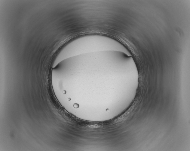 X0000110950158200907171636