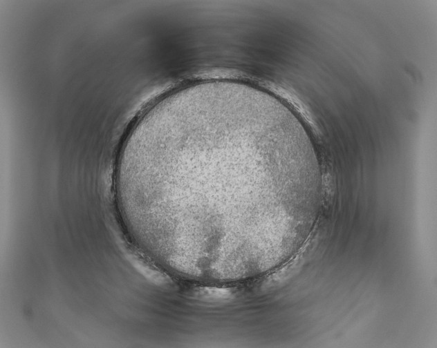 X0000110950159200907171636
