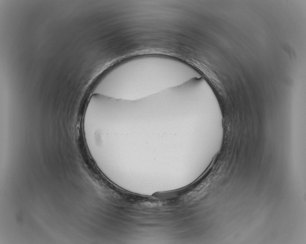 X0000110950160200907171636