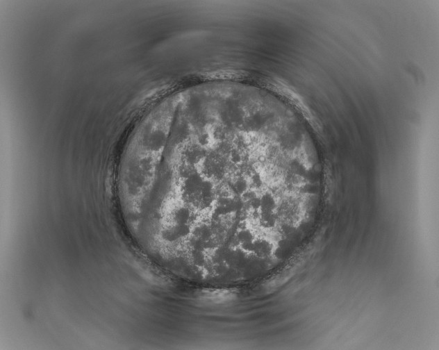 X0000110950161200907171636