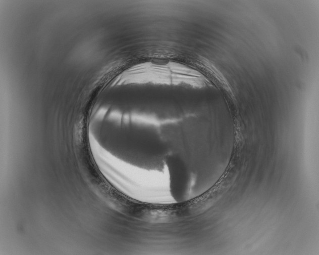 X0000110950163200907171636