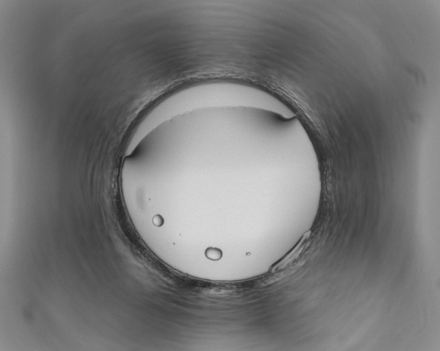 X0000110950164200907171636