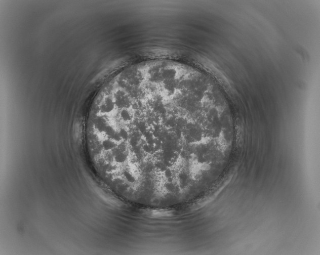 X0000110950165200907171636
