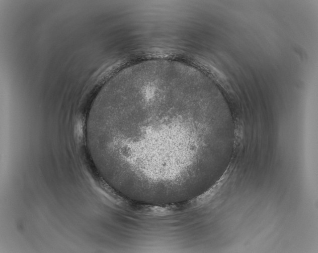 X0000110950166200907171636