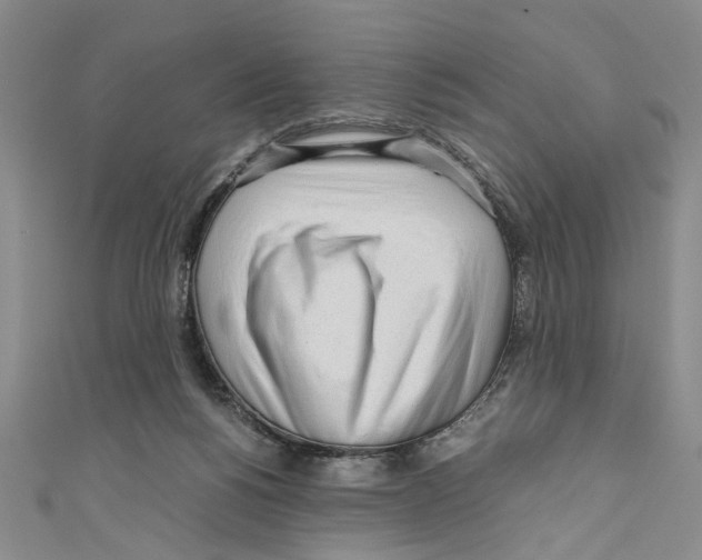 X0000110950168200907171636