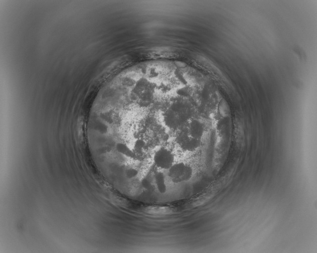 X0000110950169200907171636