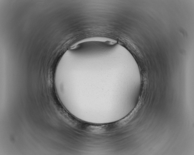 X0000110950170200907171636