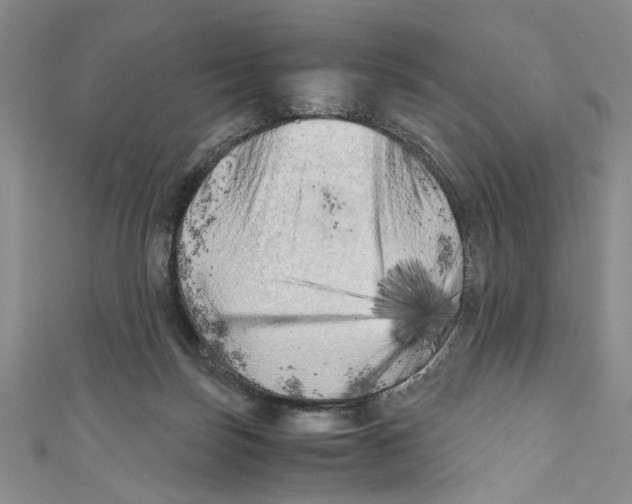 X0000110950171200907171636