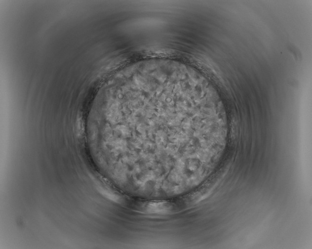 X0000110950173200907171636