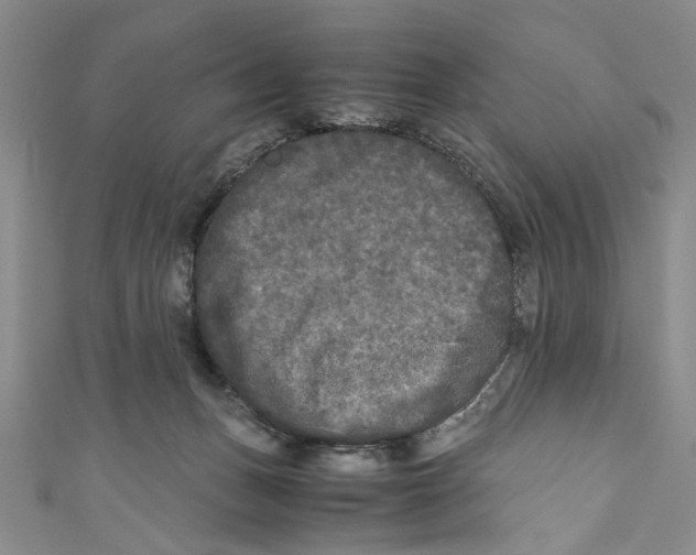 X0000110950175200907171636