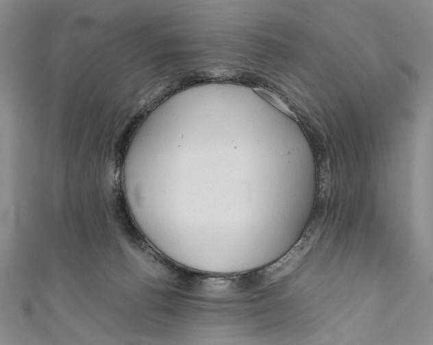 X0000110950176200907171636