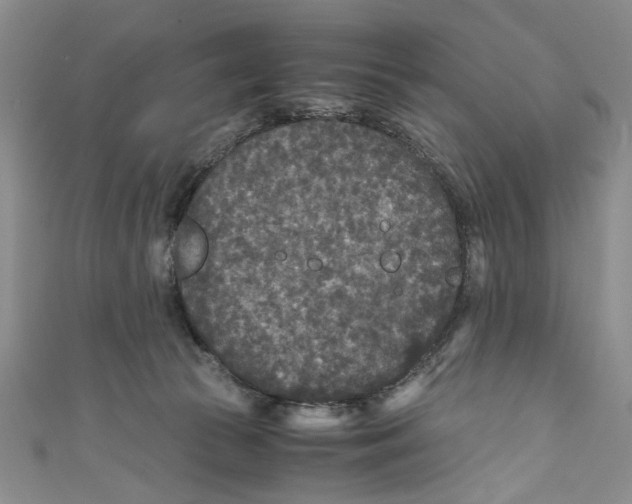 X0000110950177200907171636
