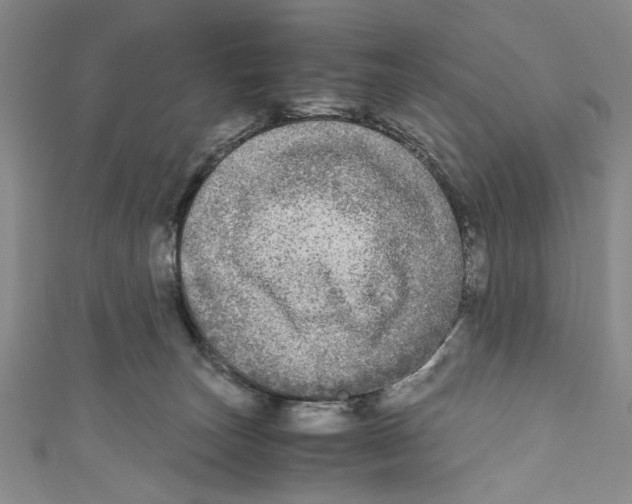 X0000110950179200907171636