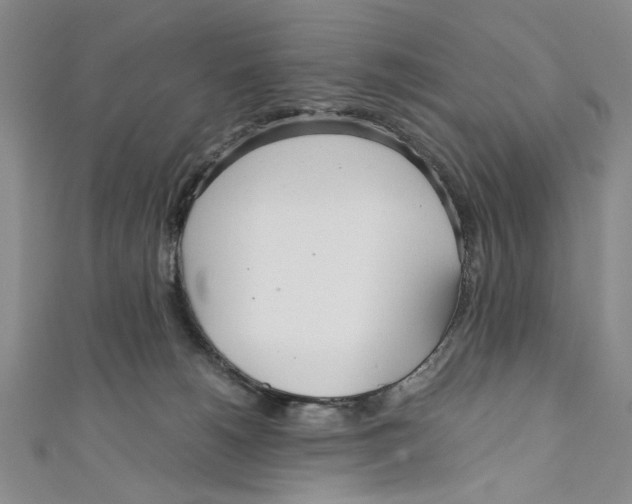 X0000110950180200907171636