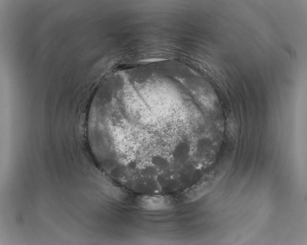 X0000110950181200907171636