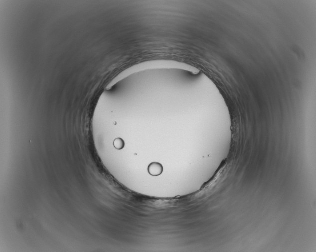 X0000110950184200907171636
