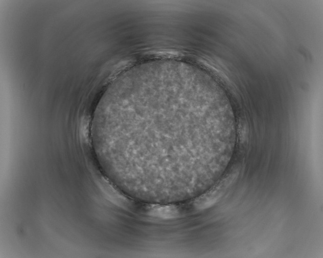 X0000110950185200907171636