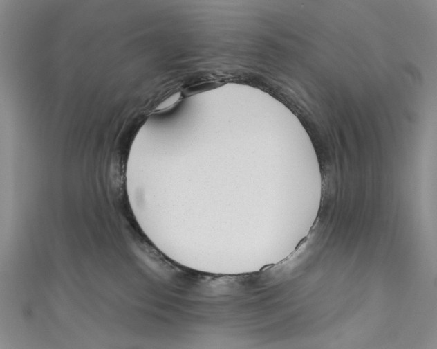 X0000110950186200907171636