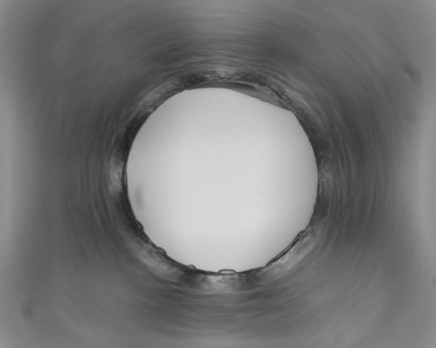 X0000110950188200907171636