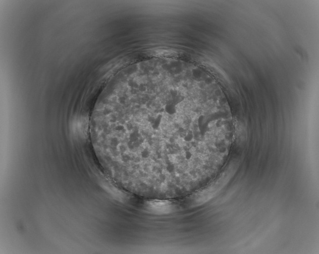X0000110950189200907171636