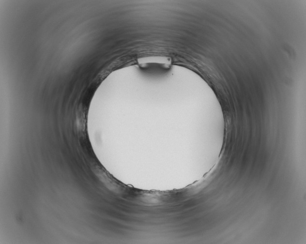 X0000110950190200907171636