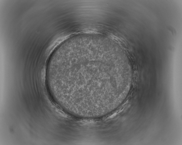 X0000110950194200907171636