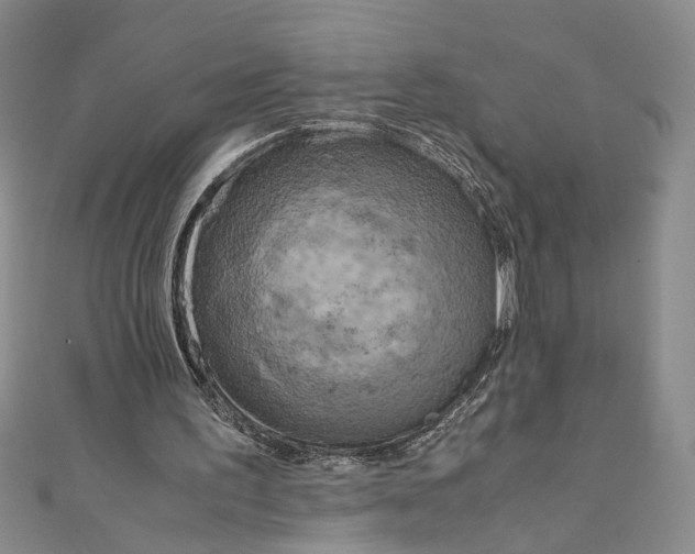 X0000110950195200907171636