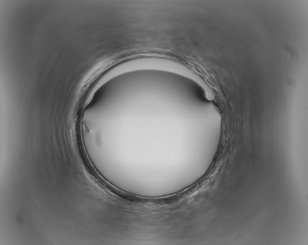 X0000110950197200907171636