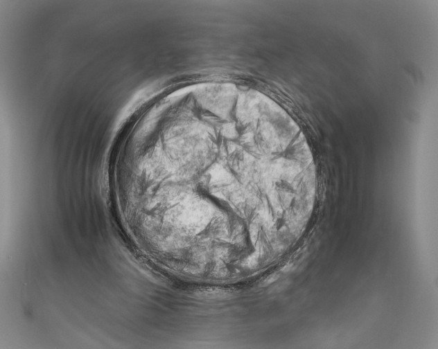 X0000110950198200907171636