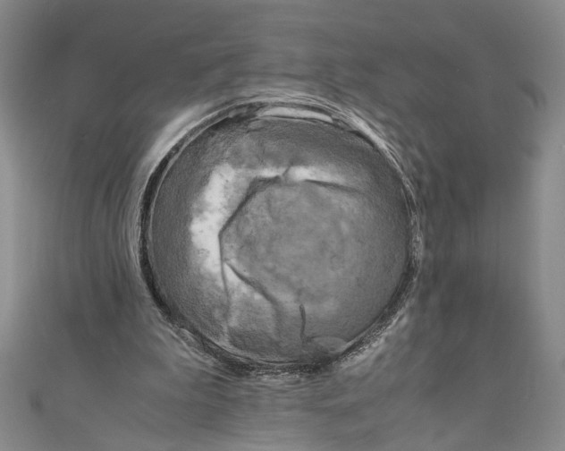 X0000110950199200907171636