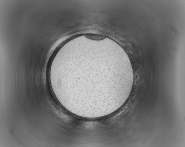 X0000110950200200907171636