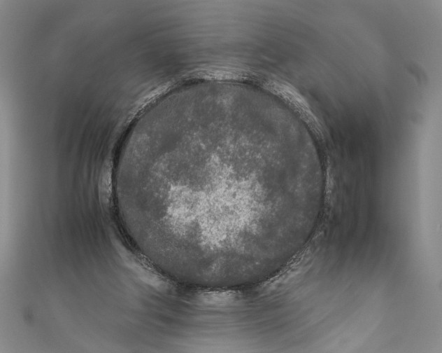 X0000110950202200907171636