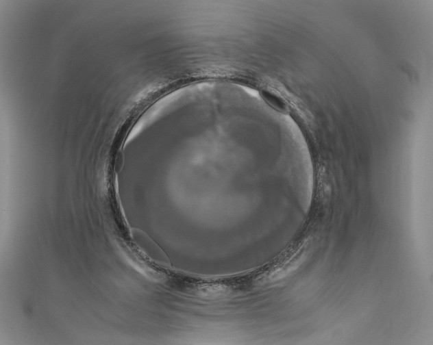 X0000110950203200907171635