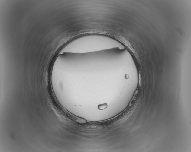 X0000110950205200907171635